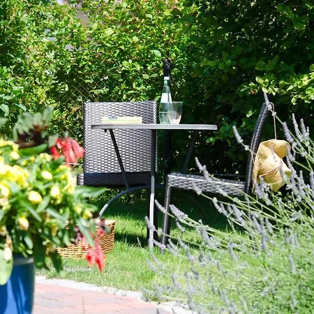 Bloom 2 Zingst
